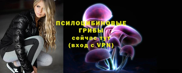 mdpv Тутаев