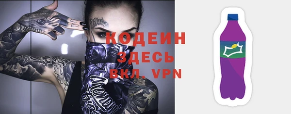 стаф Дмитриев