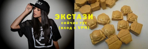 СК Дмитров