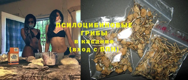 герыч Туринск