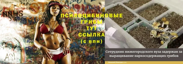 гашиш Медногорск