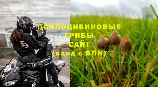 СК Дмитров