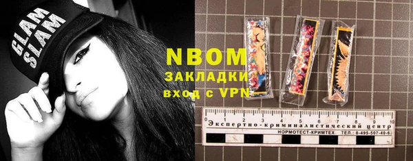 стаф Дмитриев