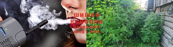 бошки Новозыбков