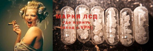 СК Дмитров