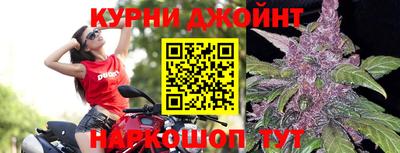 мяу мяу мука Бийск