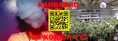 гидра Берёзовский
