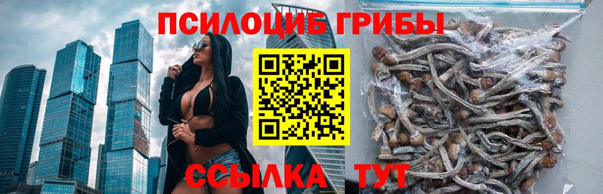 Галлюциногенные грибы MAGIC MUSHROOMS Выкса