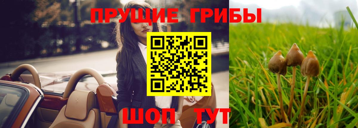 Галлюциногенные грибы Cubensis  дарнет шоп  Псилоцибиновые грибы ЛСД  Выкса 